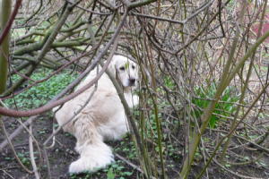 Frida 9. Woche
