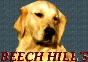 [ Logo - Beech Hills ]
